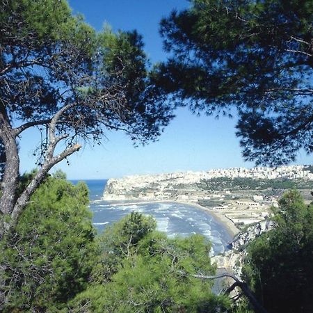 B&B Rose Villa Peschici Eksteriør bilde