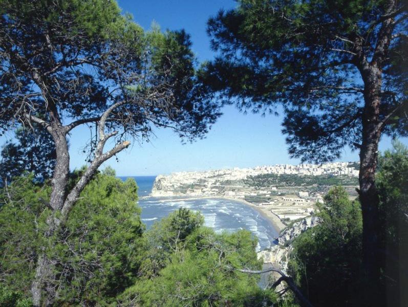B&B Rose Villa Peschici Eksteriør bilde