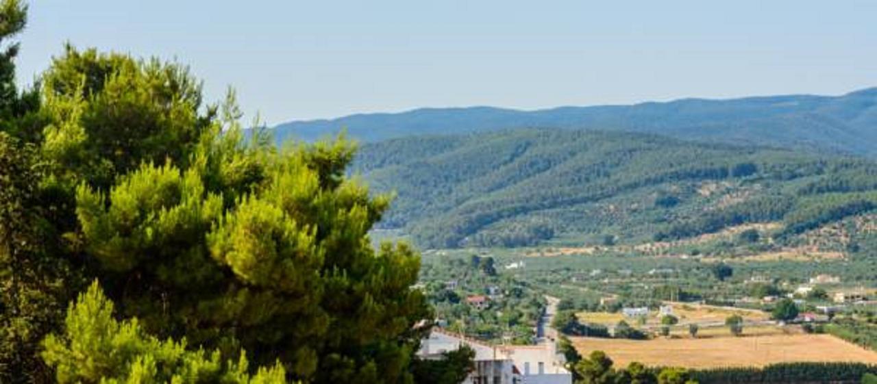 B&B Rose Villa Peschici Eksteriør bilde